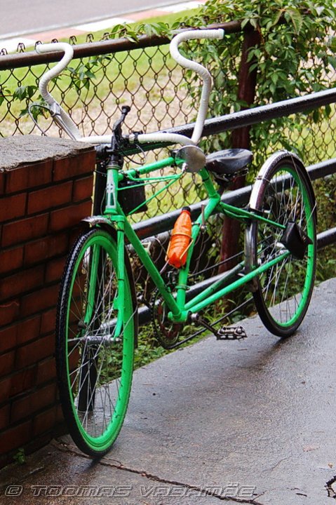_MG_5904.jpg