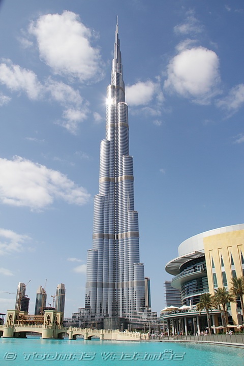 IMG_8667.JPG